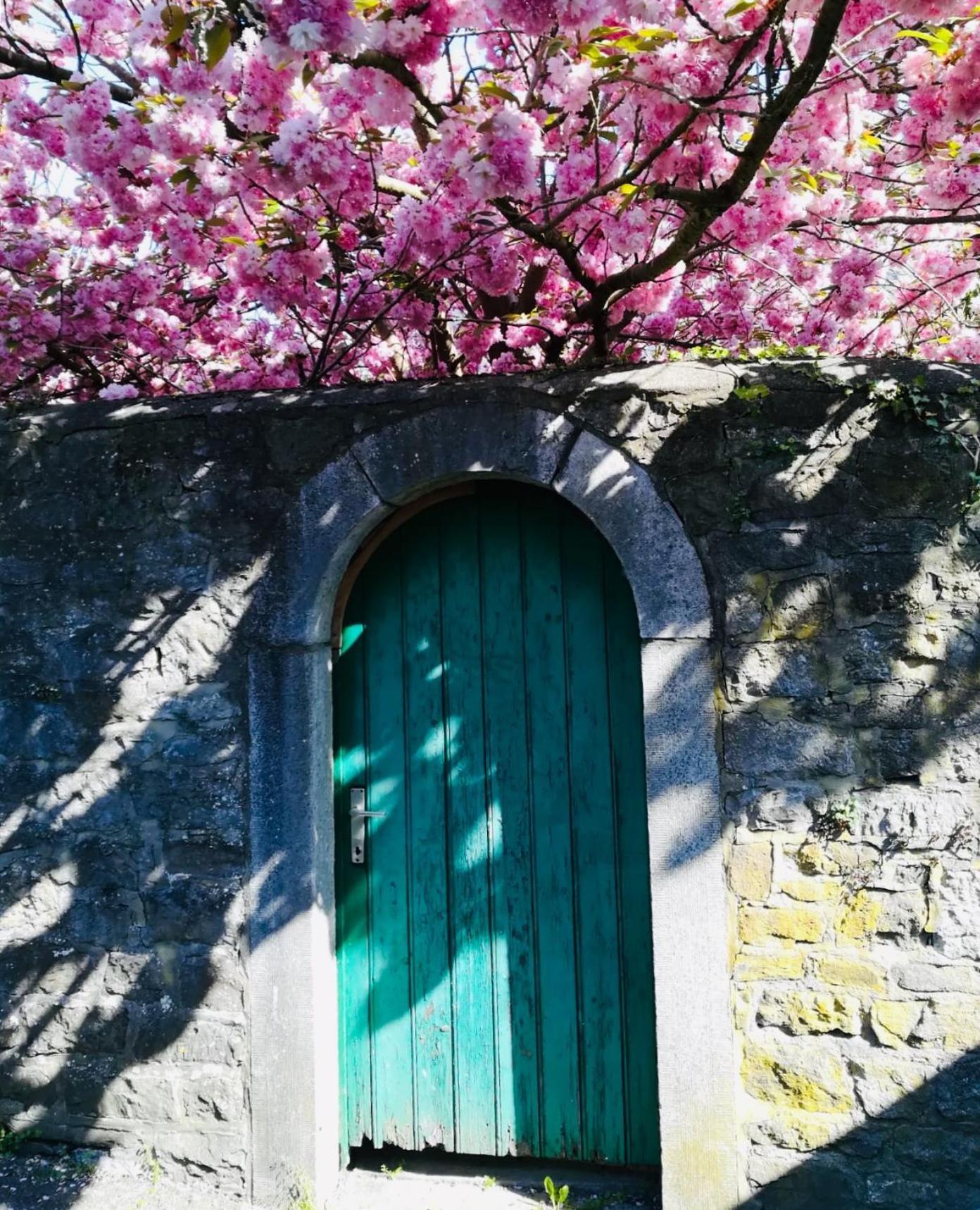 B&B La Ruelle Profondeville Exterior photo
